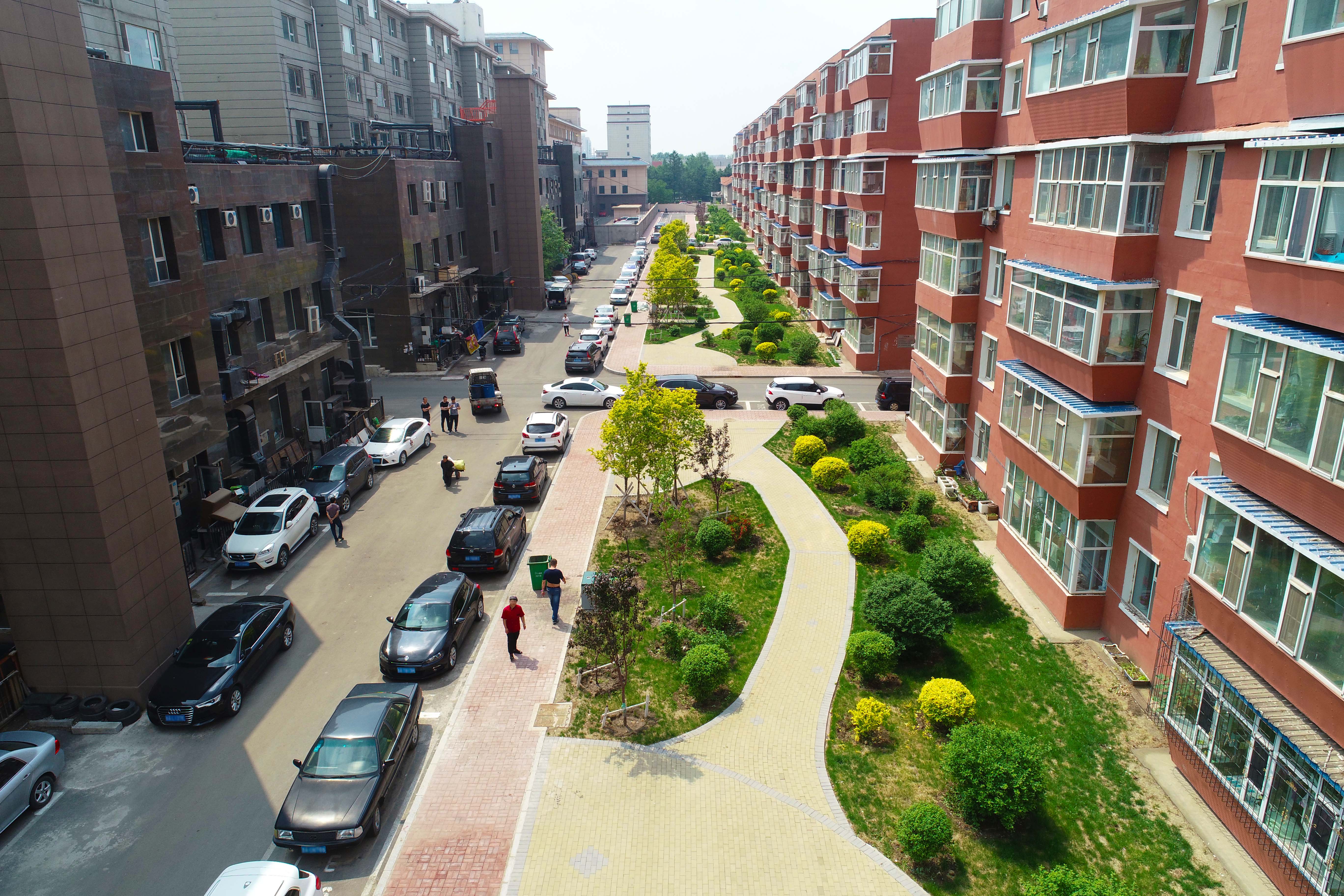 长春市绿园区208小区市政道路及绿化景观工程