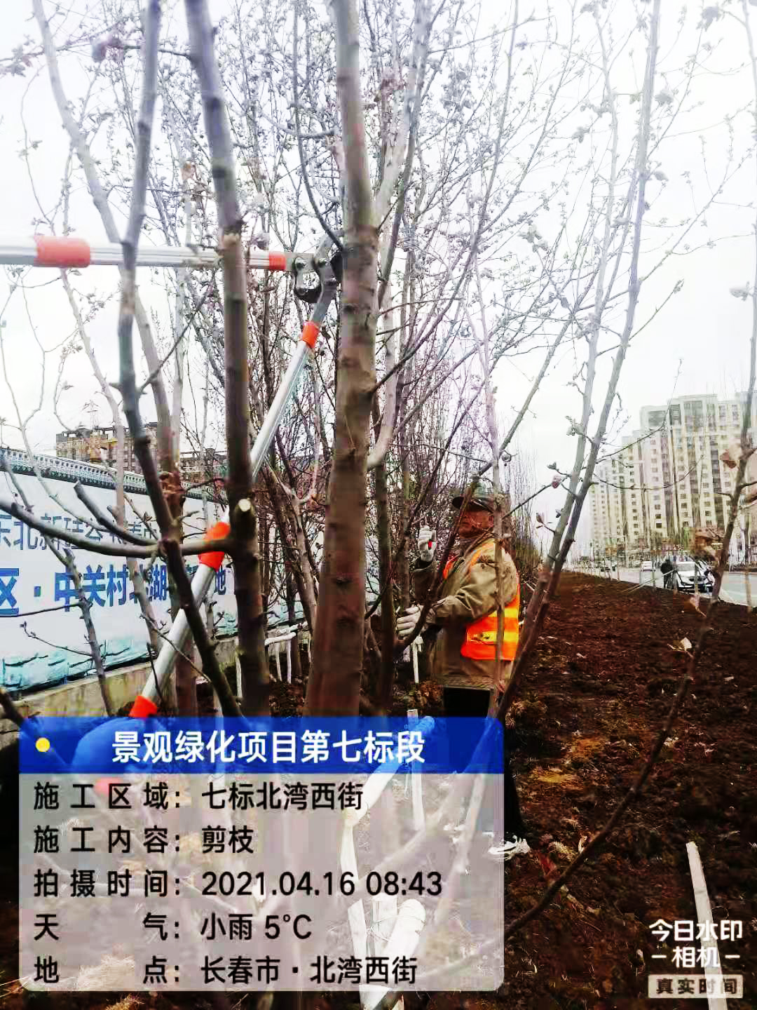 北湖景观绿化项目七标段